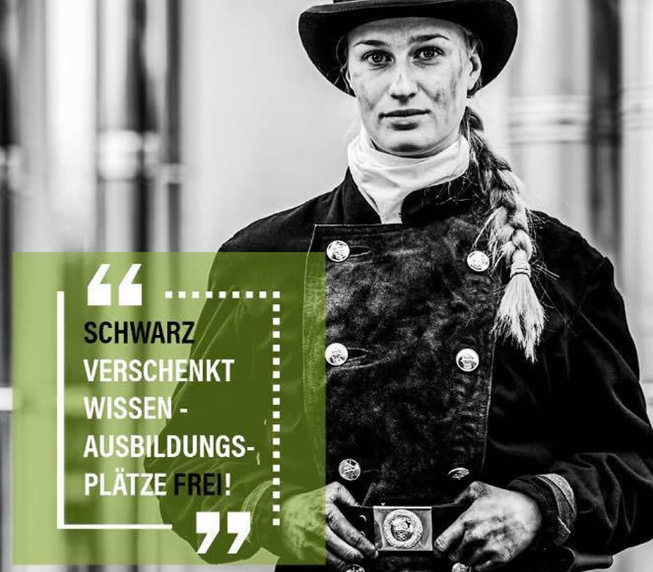 Ihr Schornsteinfeger